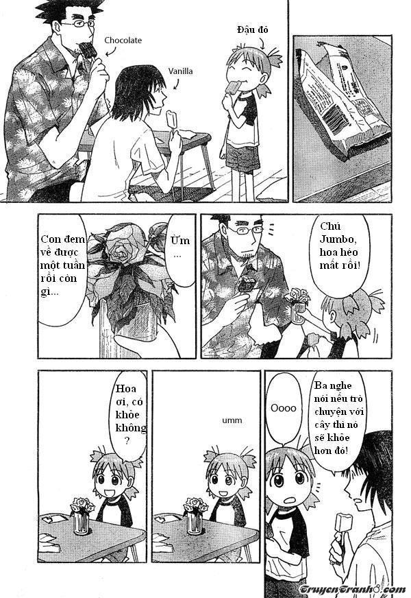 yotsubato/8