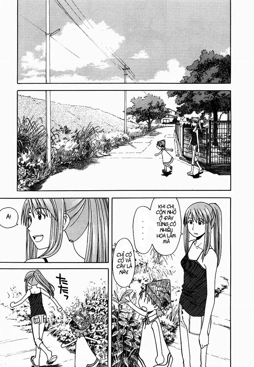 yotsubato/20