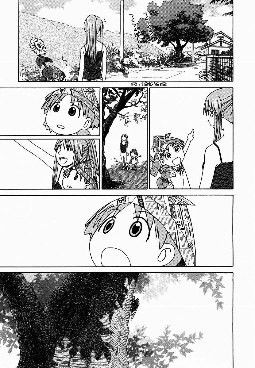 yotsubato/24