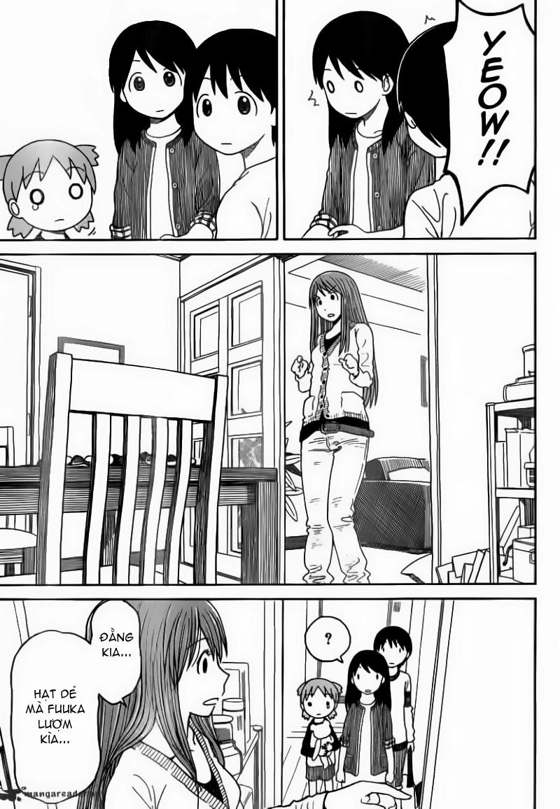 yotsubato/28