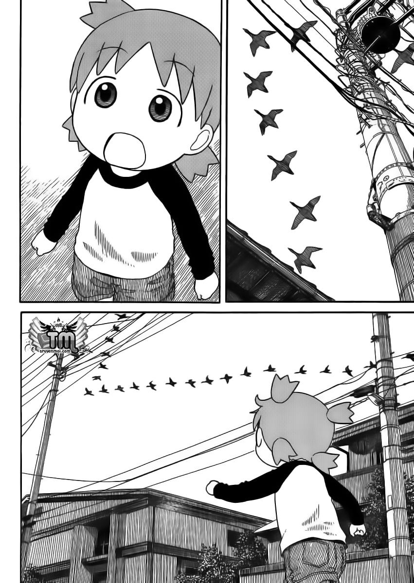 yotsubato/8