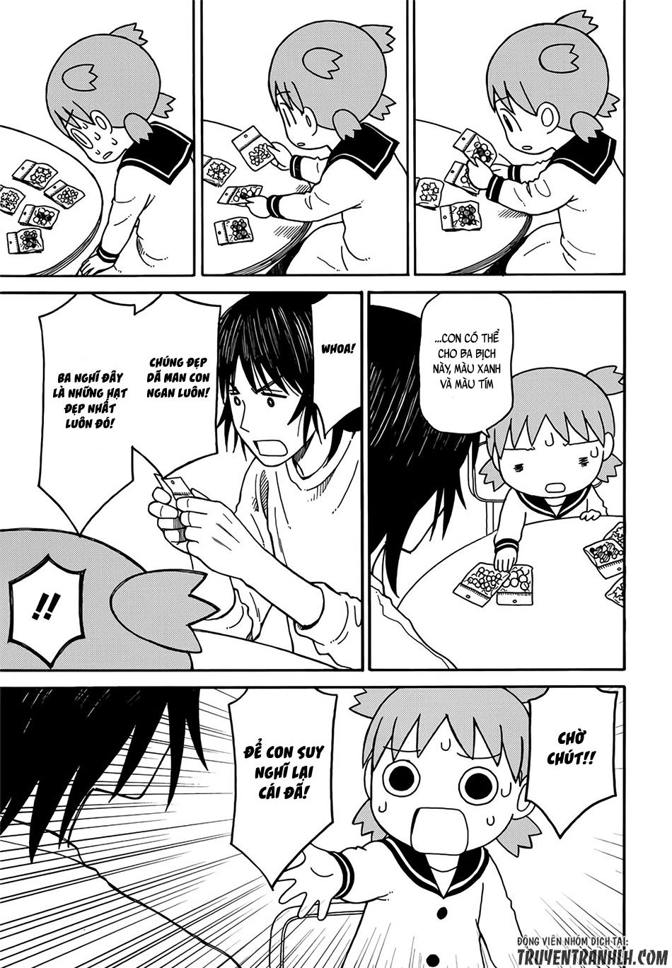 yotsubato/14